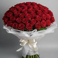 Букет 101 Красная роза Блэк Мэджик в Бердяуше