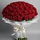 Букет 101 Красная роза Блэк Мэджик в Бердяуше