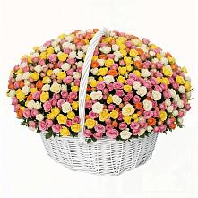 Премиум букет из: Розы в Бердяуше