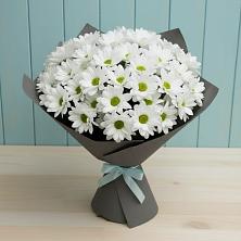Букет цветов из:  Хризантемы в Бердяуше