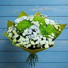 Букет цветов из:  Хризантемы в Бердяуше