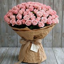 Букет 151 Роза Роуз #REPLACE_PRED# Бердяуше