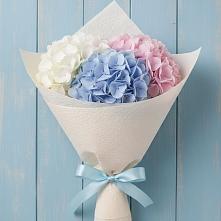 Букет цветов из:  Гортензия #REPLACE_PRED# Бердяуше