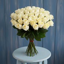 Букет 51 Белая роза Эдлесс Лав #REPLACE_PRED# Бердяуше