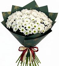 Букет цветов из:  Хризантемы в Бердяуше