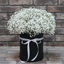 Цветочная композиция из Гипсофила в шляпной коробке в Бердяуше