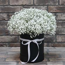 Цветочная композиция из Гипсофила в шляпной коробке в Бердяуше