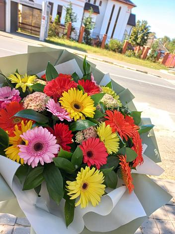 Букет цветов из: Герберы в Бердяуше