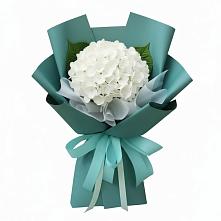 Букет цветов из:  Гортензия в Бердяуше